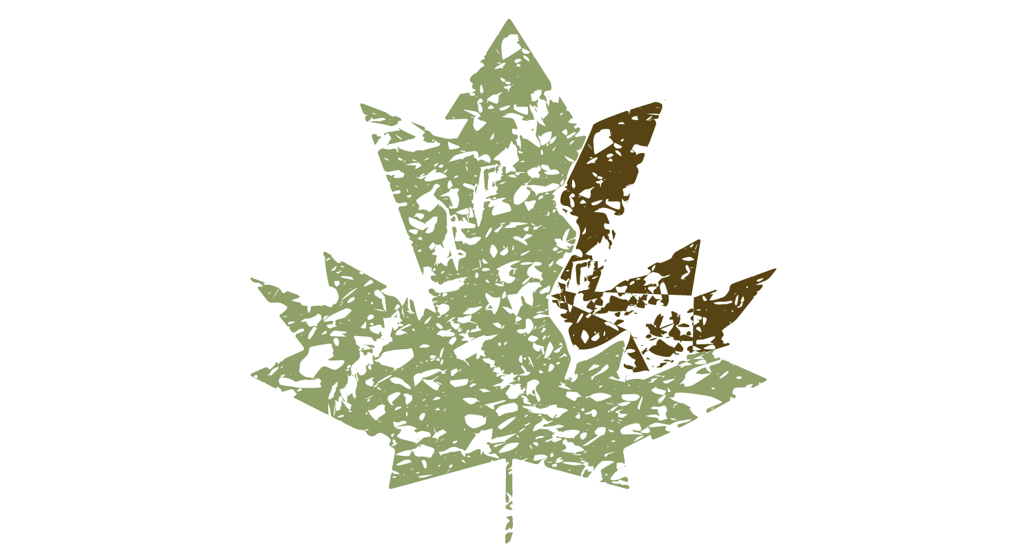 An illustrated Canadian maple leaf