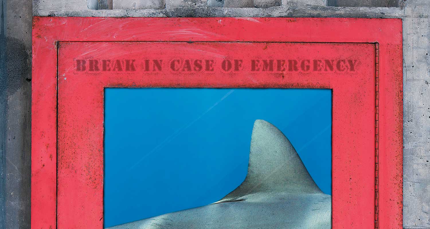 creative concept illustrating the endangerment of sharks