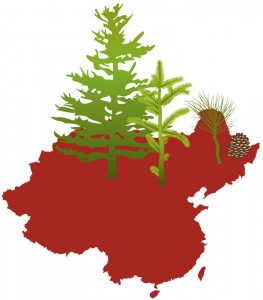 Illustration of China with forest coverage