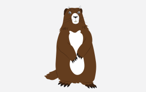 Marmot Illustration