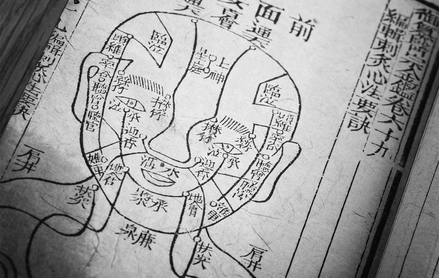 Image of traditional Chinese medicinal practices text