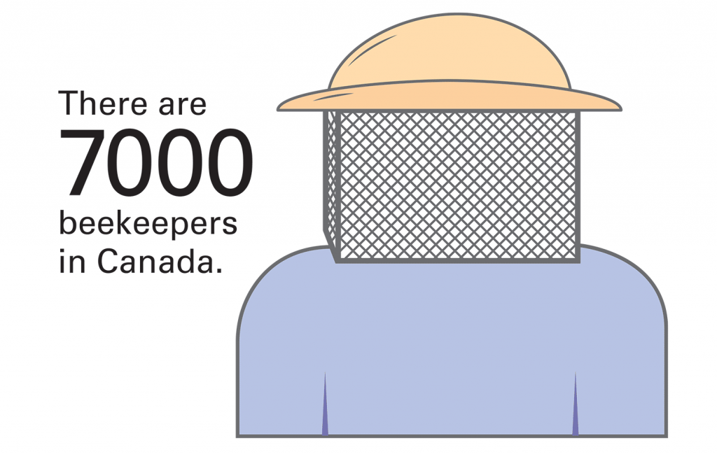 Beekeeper Illustration
