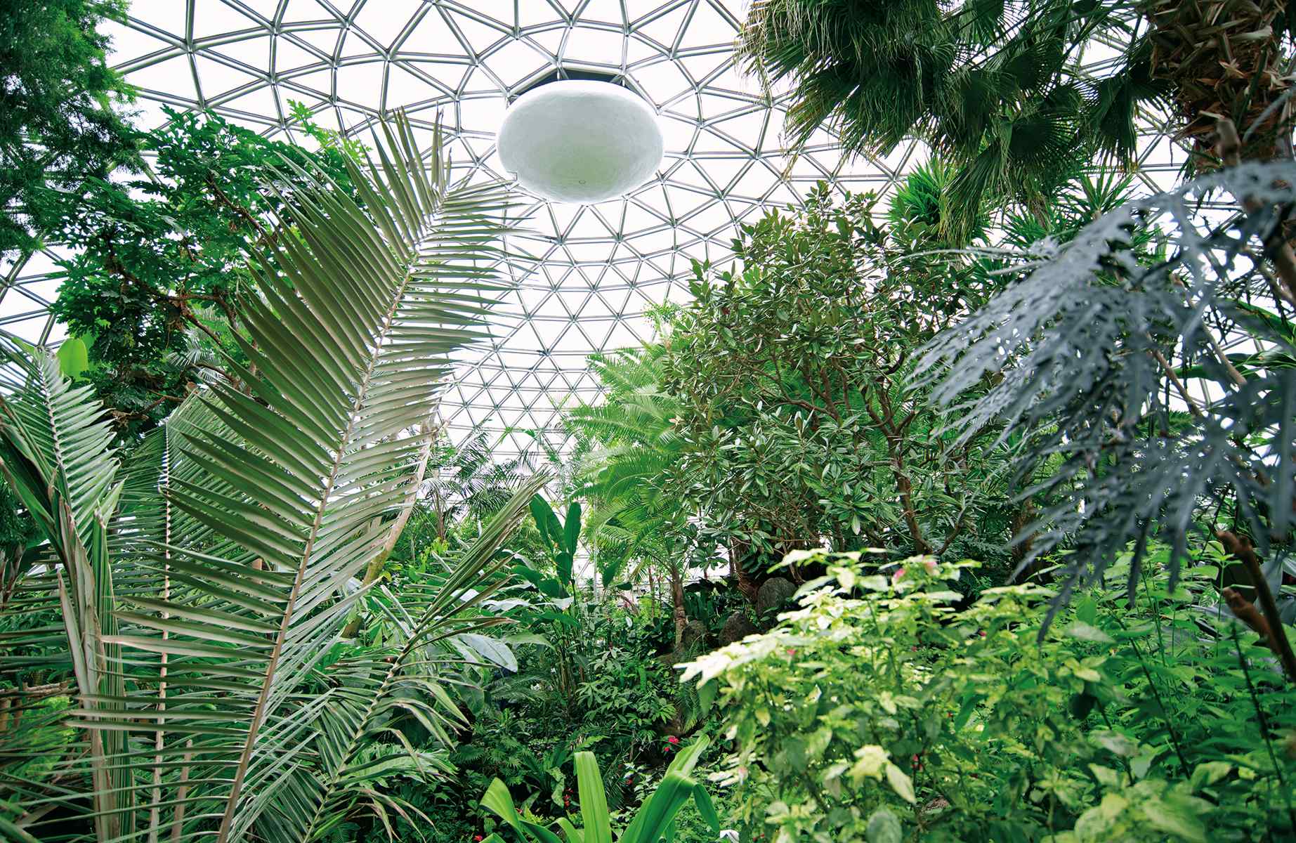 Bloedel Conservatory roof